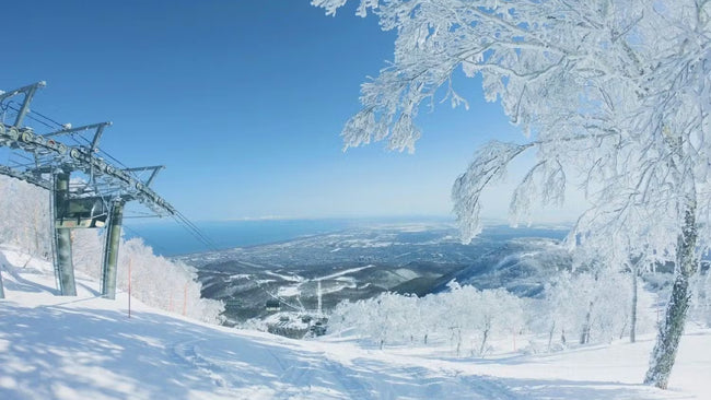 Japan with Akari Endo-Gaut